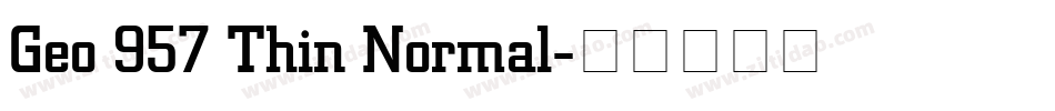 Geo 957 Thin Normal字体转换